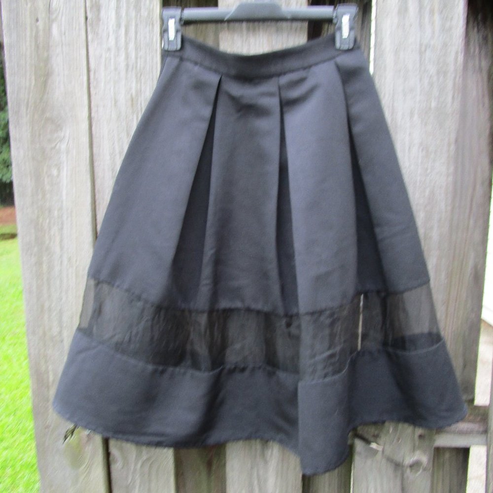 Express Skirt, Sheer Panel insert Black, 6, Pleats - Picture 2 of 7